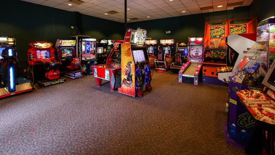 Iguana Arcade